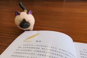《一个胖子的唬人伎俩》