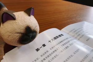 魔术书《一个胖子的唬人伎俩》